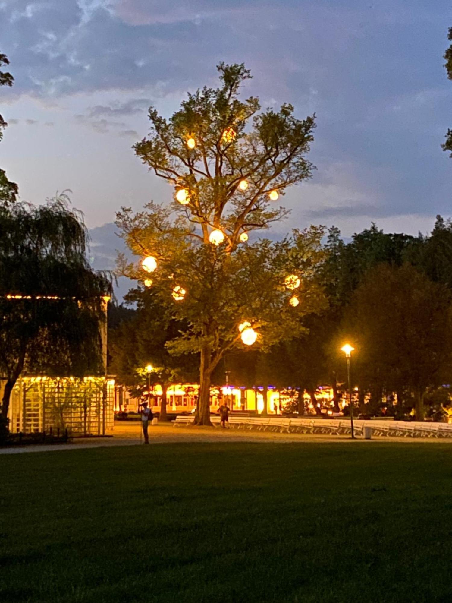 Fewo Roland Ranft Direkt Am Kurpark Barrierearm 60Qm Bad Elster Bagian luar foto