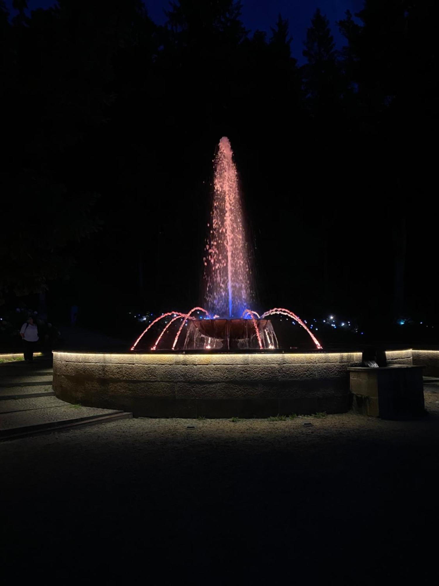 Fewo Roland Ranft Direkt Am Kurpark Barrierearm 60Qm Bad Elster Bagian luar foto